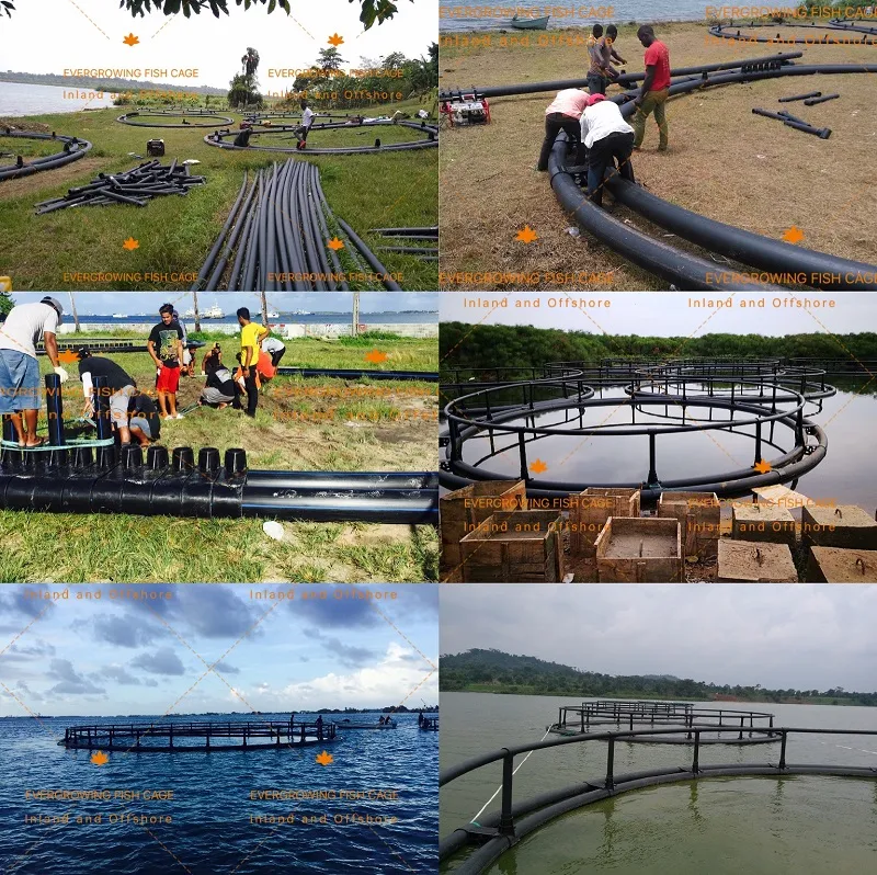 HDPE Floating Round PE Fishing Lake Volta 60m Net Cage