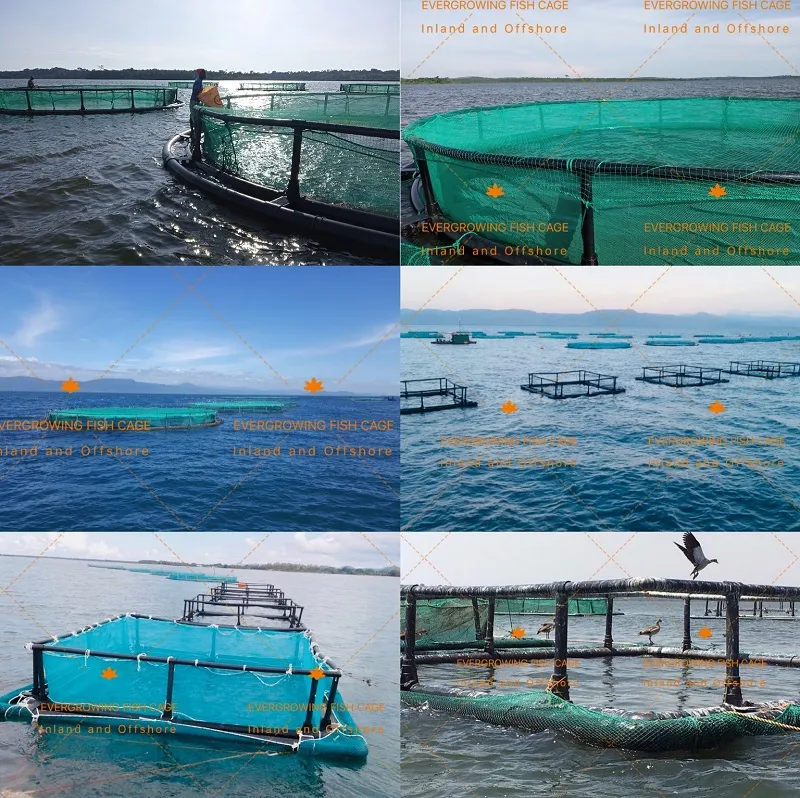 HDPE Floating Round PE Fishing Lake Volta 60m Net Cage