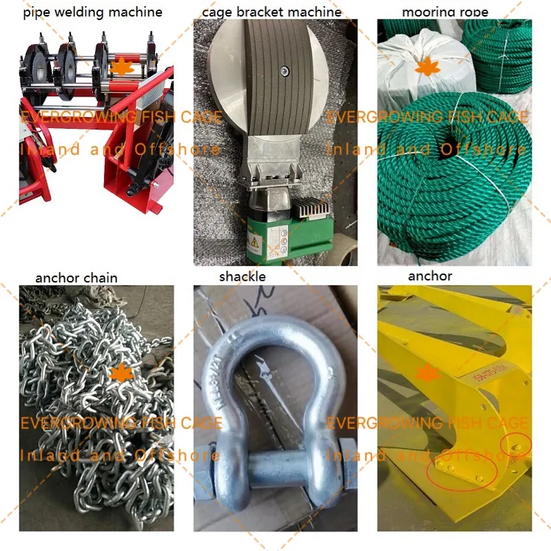 HDPE Net Cage Lake Lagoon Inland Farming Bream Single Circular Aquaculture Fish Cage