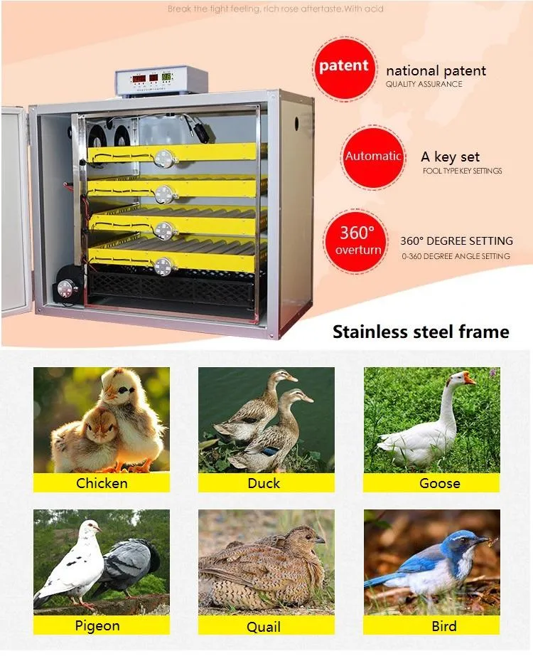 Hl Automatic Chicken Egg Incubator Solar Egg Incubator for 5280 Eggs