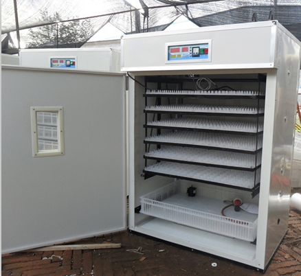 Holding 1000 Egg Poultry Pheasant Automatic Incubator for Sale