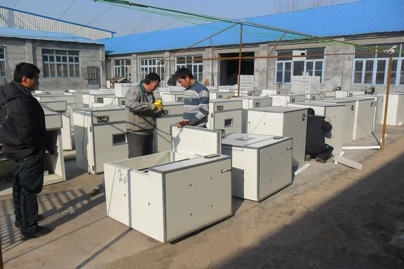 Holding 1000 Egg Poultry Pheasant Automatic Incubator for Sale