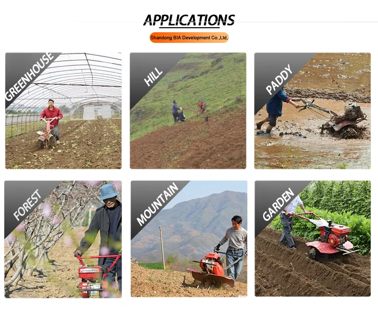 Hot Sale 212cc Agricultural Power Tiller Ditching Cultivator for Dry Land Rotary Tiller
