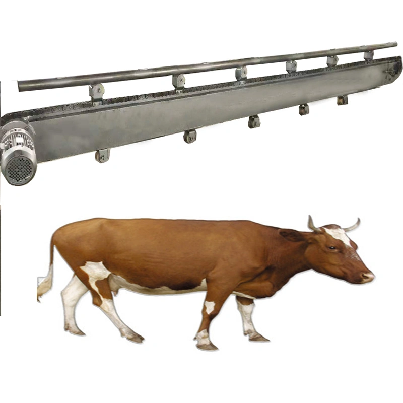 Hot Sale Cattle Slaughterhouse Equipment