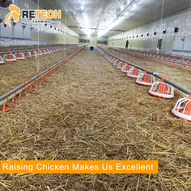 Husbandry Machinery Stockline Silo in Poultry Livestock