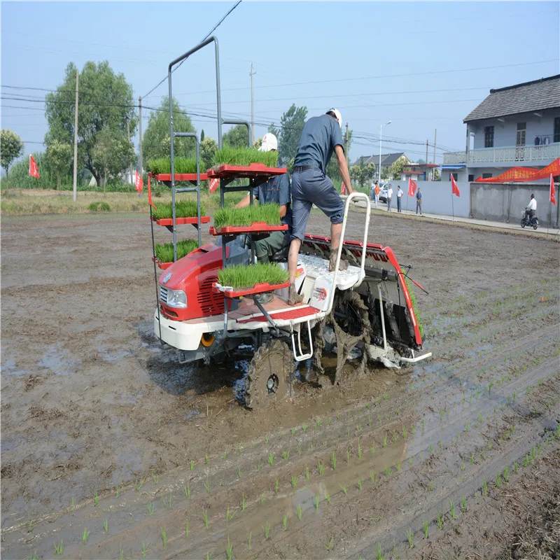 Hydraulic Steering Type Farm Machinery Rice Planter Side for Fertilization