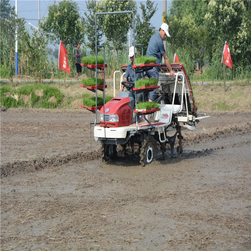 Hydraulic Steering Type Farm Machinery Rice Planter Side for Fertilization