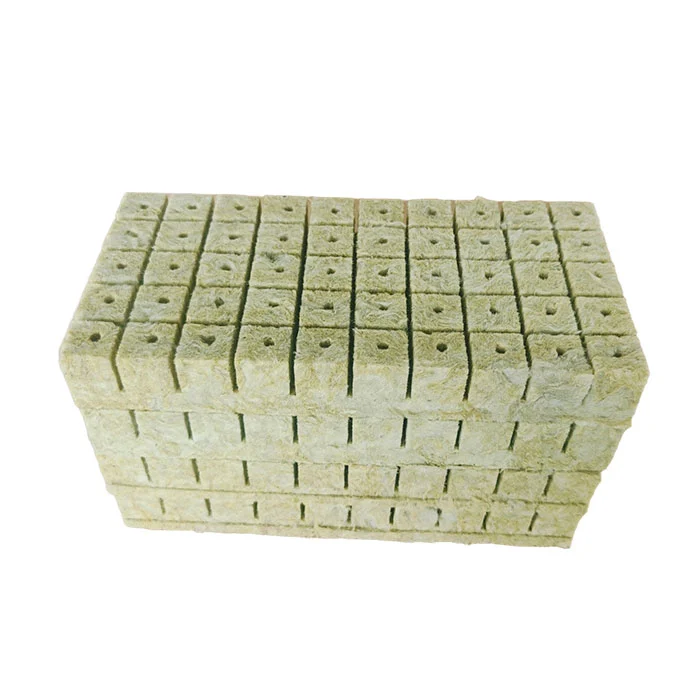 Rockwool block soilless cultivation