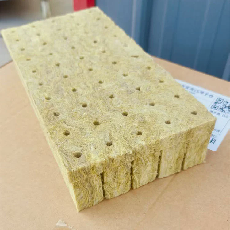 Bottomless Rockwool Seedling Cultivation