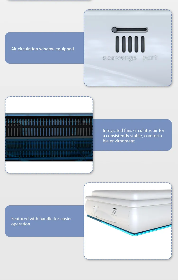 Incubators Hatching Eggs Chicken Bird Eggs Fertilized Parrots