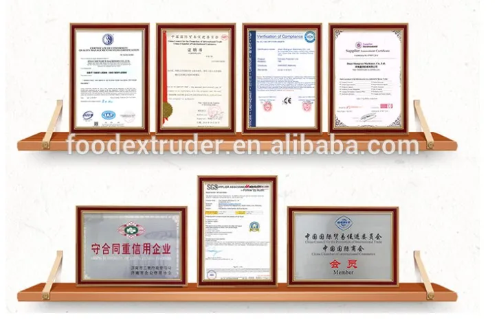 Industrial Pet Feed Pellet Machine &nbsp;Equipment for The Production of Dog Cat Food