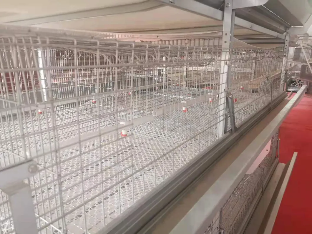 Layer Cage New Design Cage Hot Galvanized Cage Wiremeshes Cage