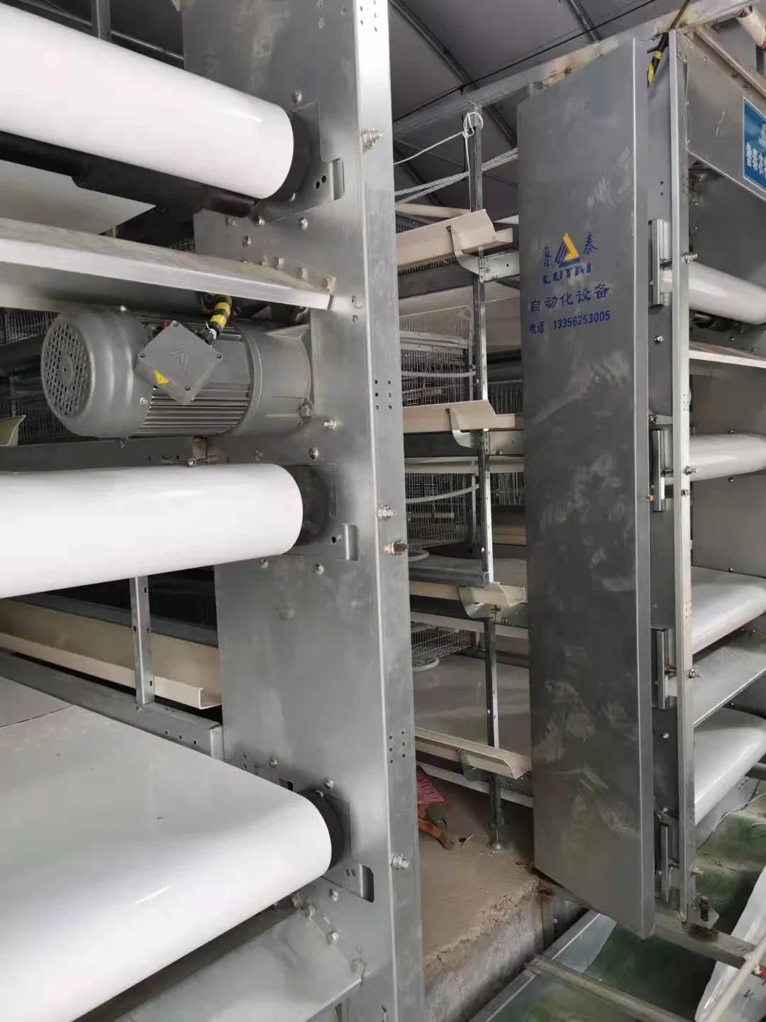 Layer Cage New Design Cage Hot Galvanized Cage Wiremeshes Cage