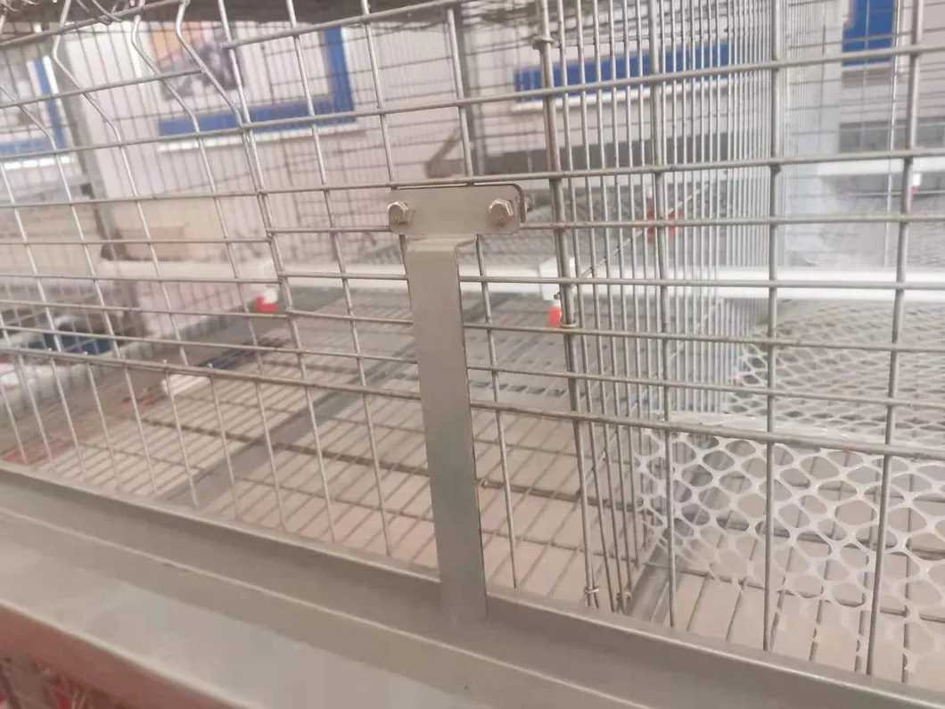 Layer Cage New Design Cage Hot Galvanized Cage Wiremeshes Cage