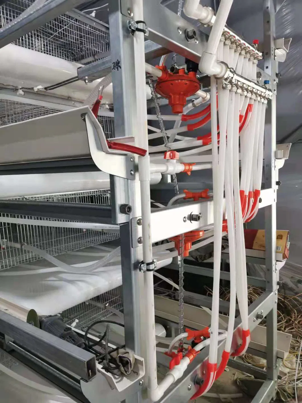 Layer Cage New Design Cage Hot Galvanized Cage Wiremeshes Cage