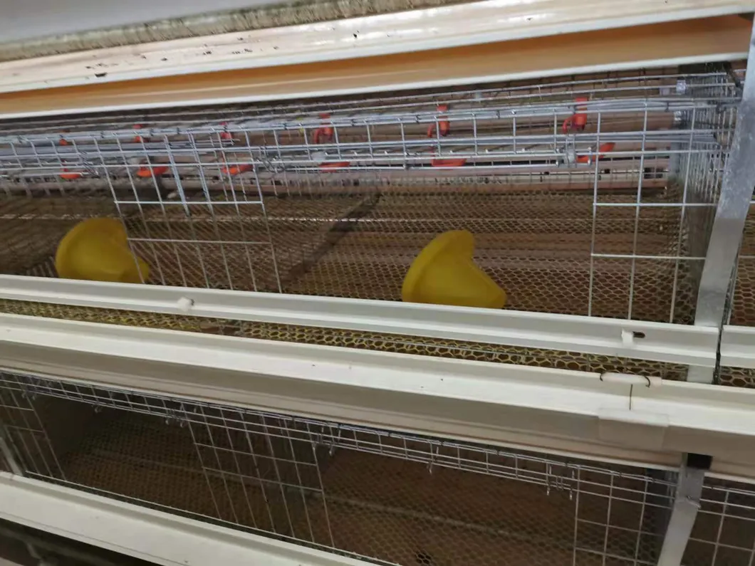 Layer Cage New Design Cage Hot Galvanized Cage Wiremeshes Cage
