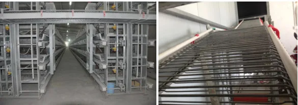 Layer Chicken Better Cage for Poultry Farm