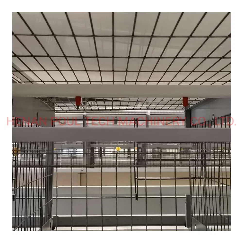 Layer Chicken Better Cage for Poultry Farm