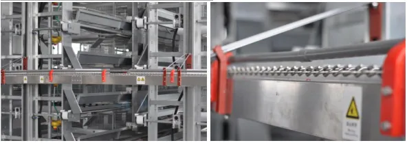 Layer Chicken Better Cage for Poultry Farm