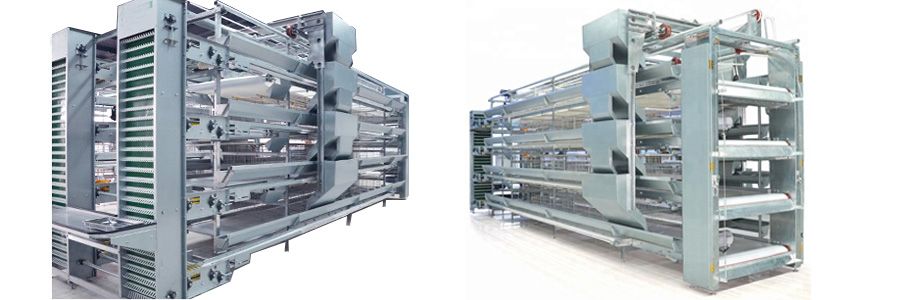 Livestock and Breed Animal Poultry Farm Equipment