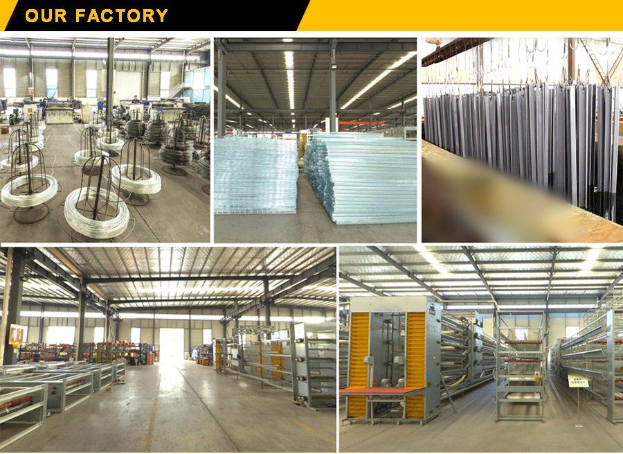 Livestock and Breed Animal Poultry Farm Equipment