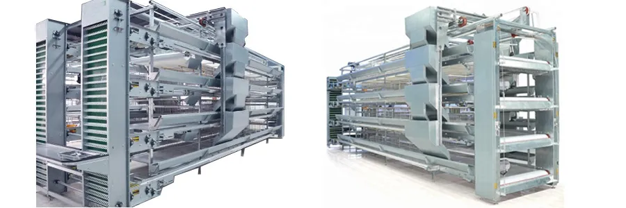 Livestock and Breed Animal Poultry Farming Equipment