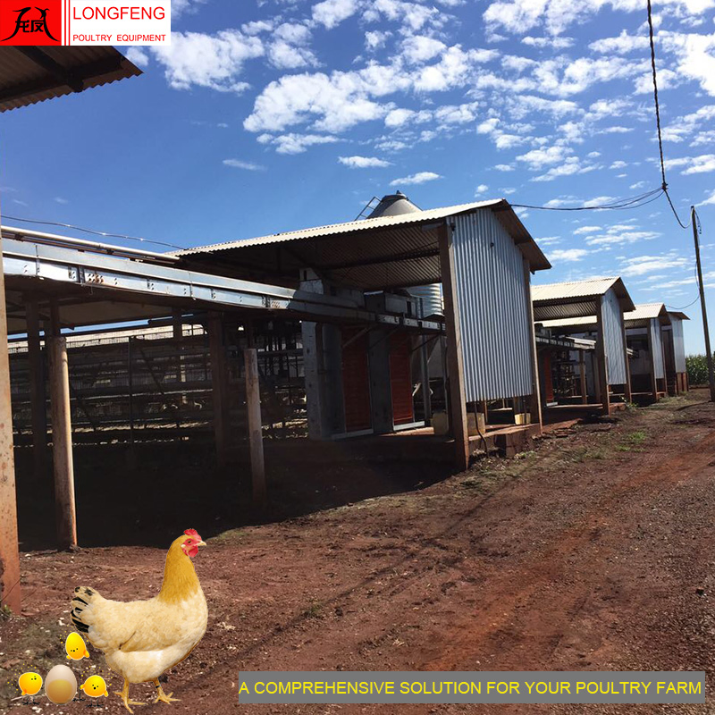 Longfeng Fogging and Doser Nipple Drinking Line Factory Price Chicken Cage