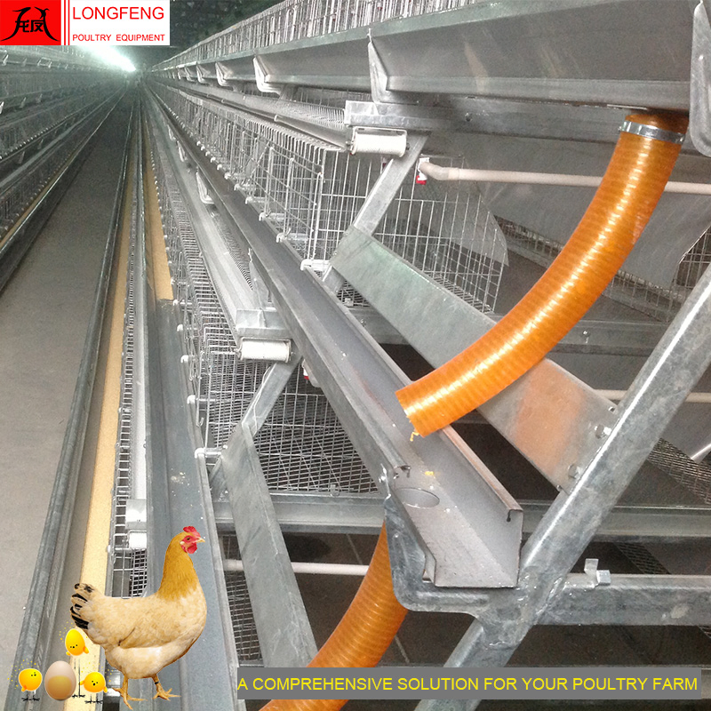 Longfeng Good Service Nipple Drinking Line Poultry Equipment for A Type of Layer Cage
