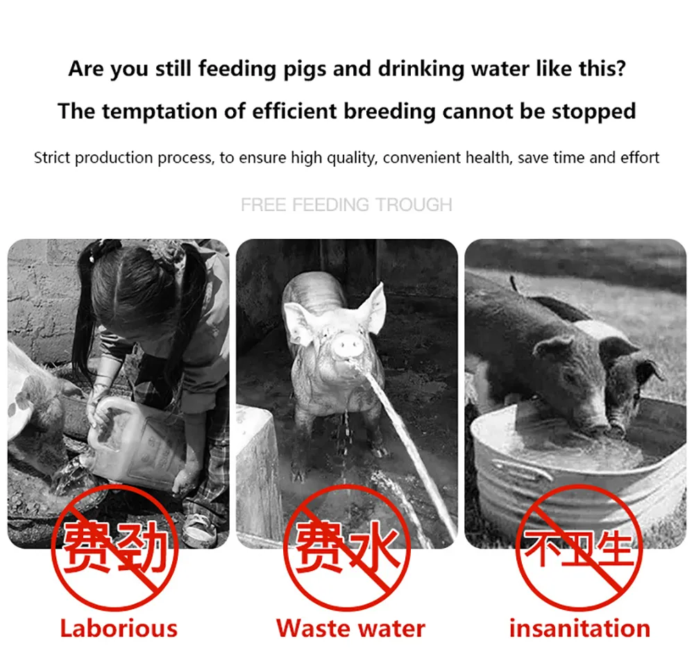 Made in China Farm Stainless Steel 304 Pig Feeder Pig Waterer
