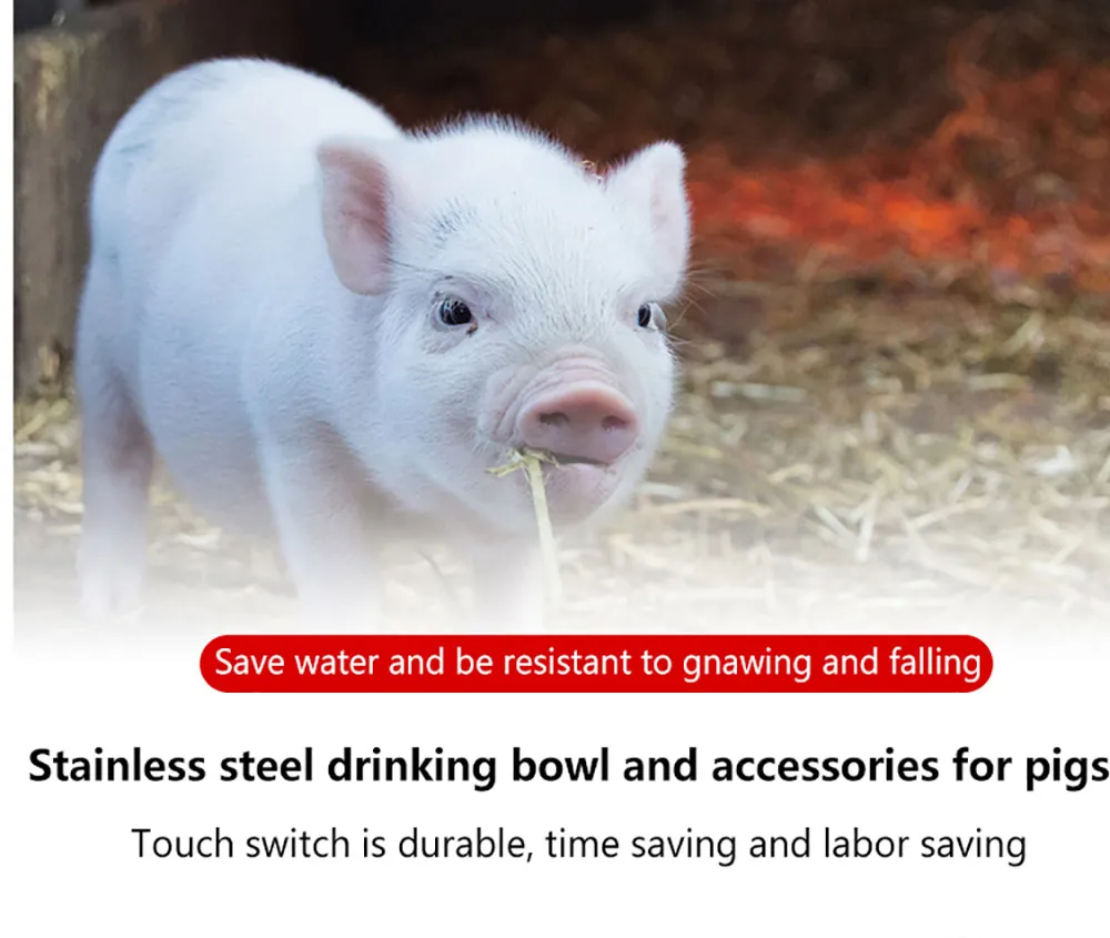 Made in China Hot Sale 304 Stainless Steel Automatic Pig Waterer Pig Waterer