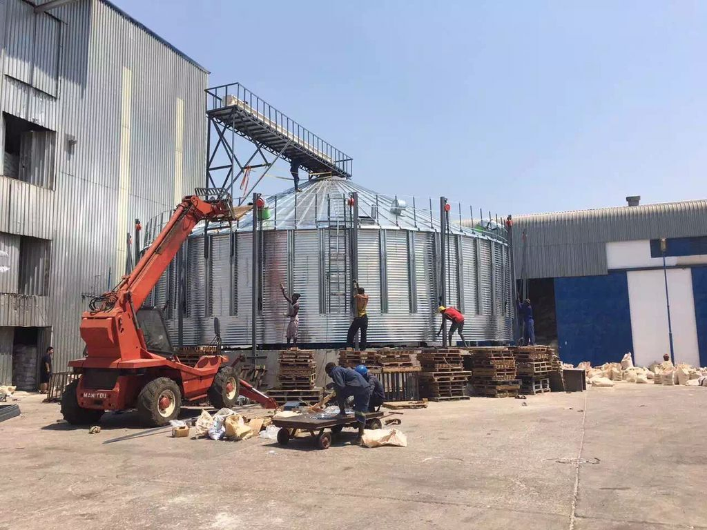Maize Steel Silo to Storage Raw Maize