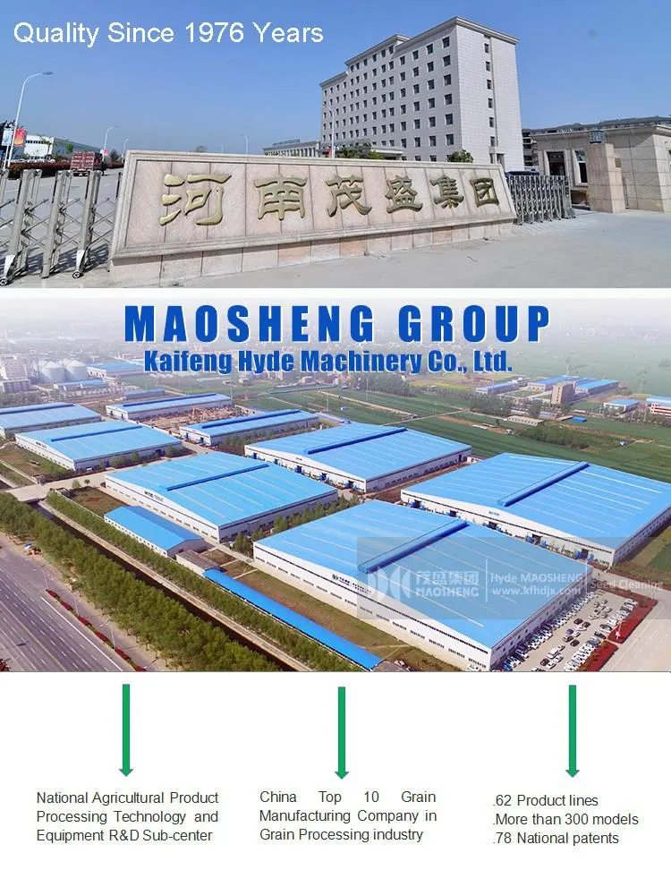 Maize Wheat Seed Treatment Machine for Seed Cleaning Processing Line