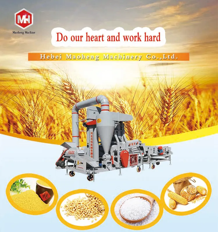 Maoheng Machine Seed Processing Plant Machinery 5xfz-15bxtm