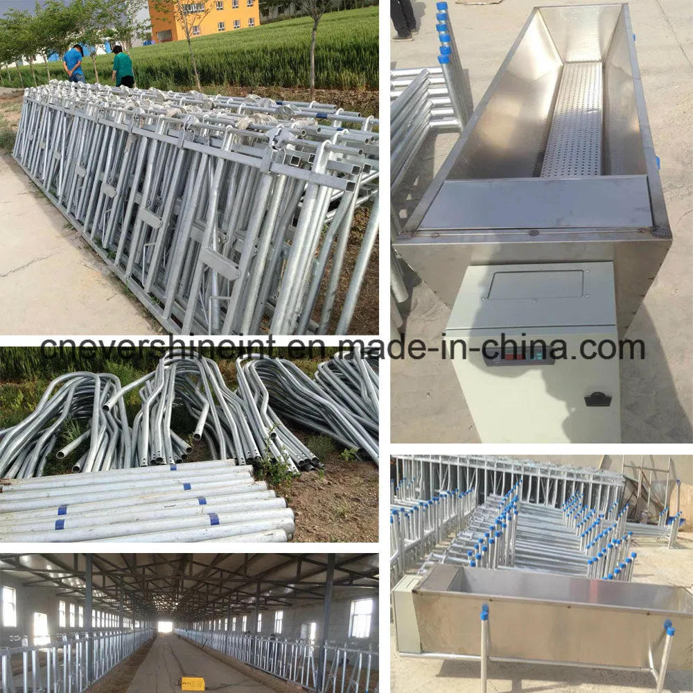 Milking Parlour Fish Bone Tunnel Type 32 Seats Stainless Steel Machine