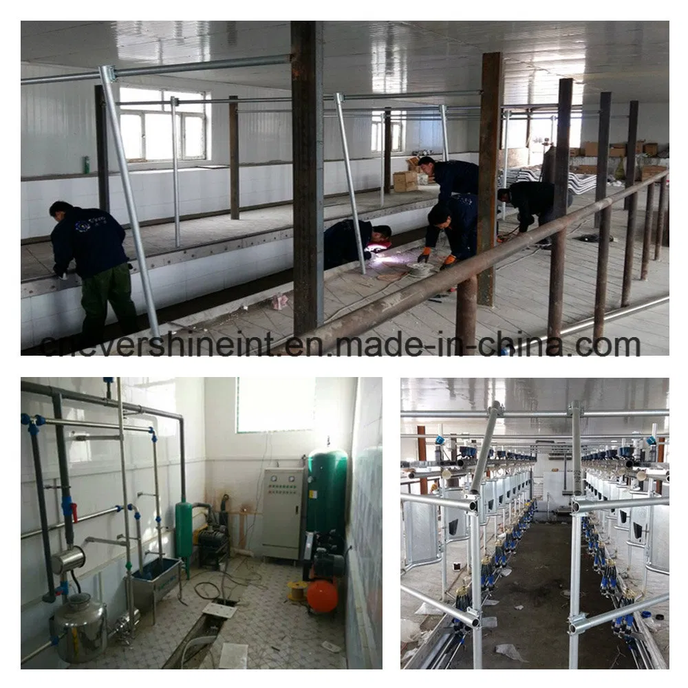 Milking Parlour Fish Bone Tunnel Type 32 Seats Stainless Steel Machine