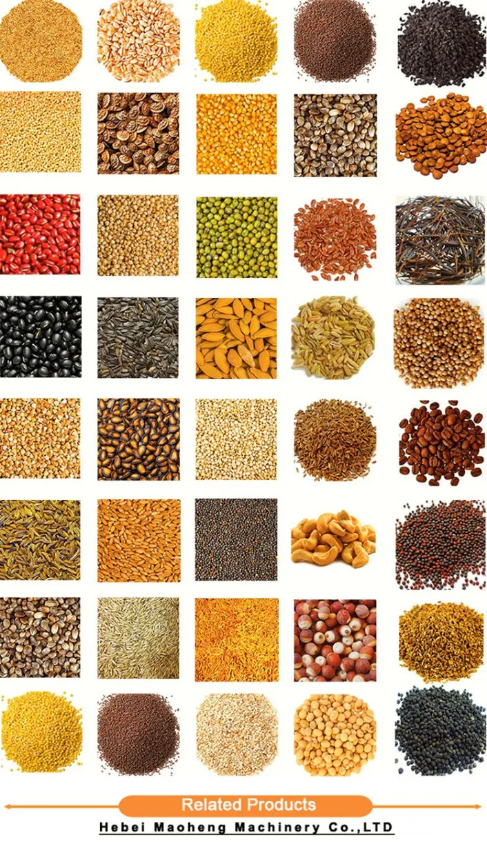 Modern Processing Machine for Seed Grain Corn Wheat 5xfz-15bxm