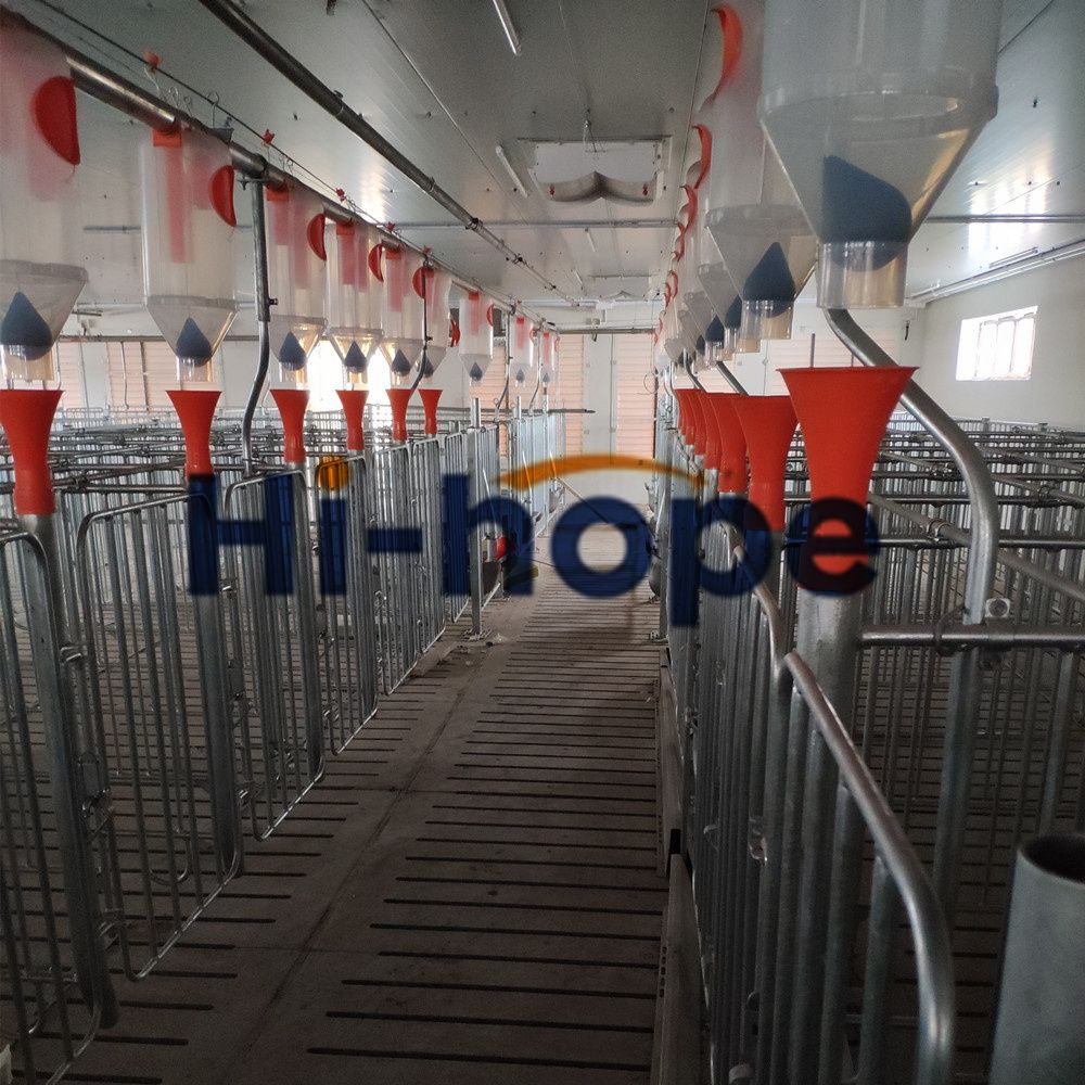 Modern Swine Farm Automatic Feed dispenser Pig Feeding Equipment