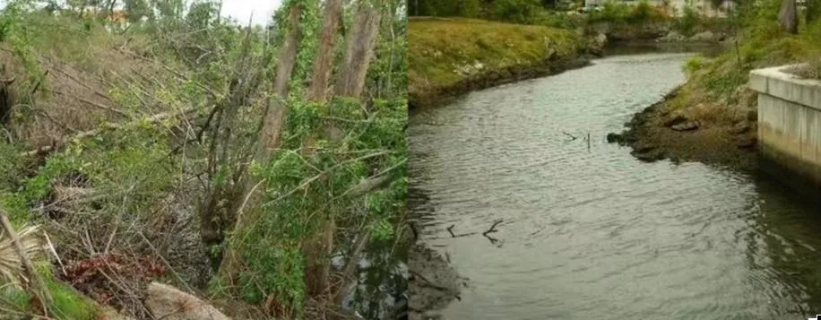 Moving-Fast/Rooted Floating Weeds Fully Automatic/Labor Saving/Small Size/Clean/New Design/Aquatic Plant Removal Harvester for Sale