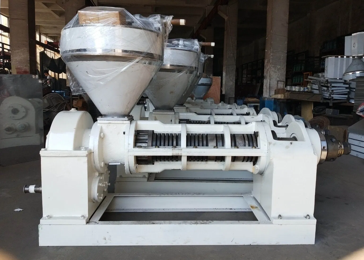 Multi Station Coconut Small Auto Screw Oil Expeller Sunflower Seed Oil Press Machine