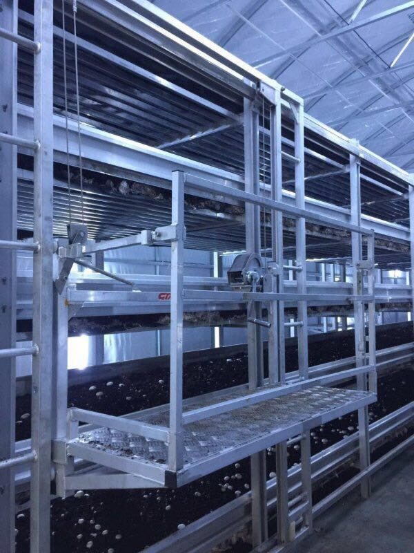 Mushroom Farm Picking Lorry Gtm Harvest Machine
