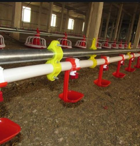 New and Good Quality Water Drinking Nipples for Poultry Farm Feeding Equipment Broiler Breed Layer Nipples