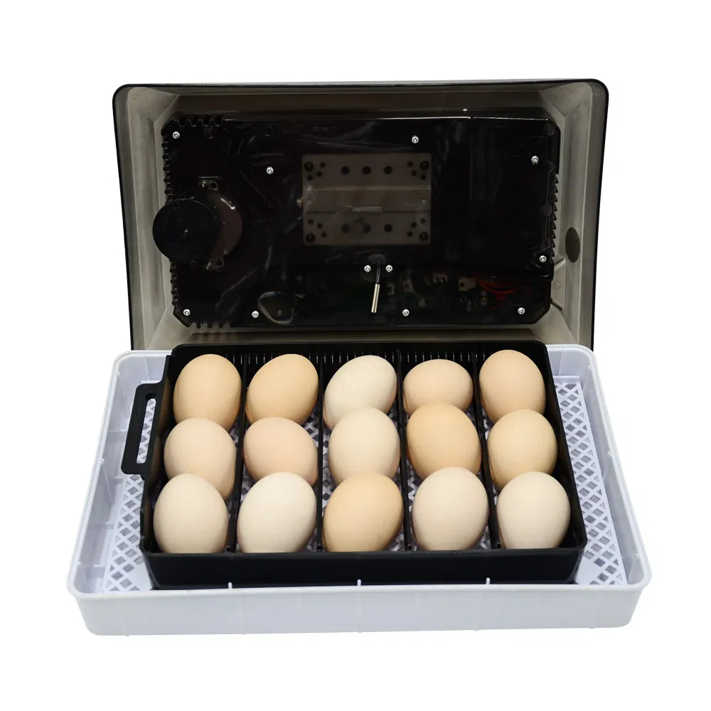 Newest Generation House Mini Intelligent Incubator for Quail Eggs with Intelligent Control Panel