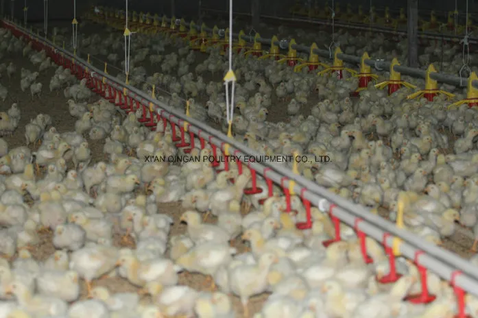 Nipple Drinker Watering Line System for Chicken/Broiler/Layer/Duck