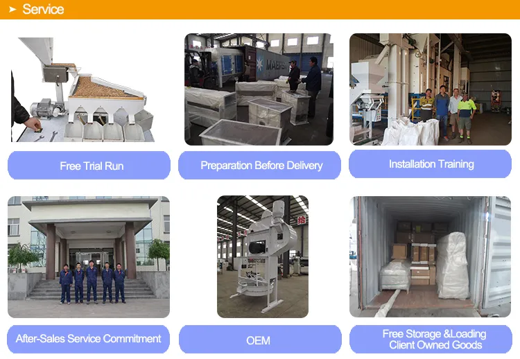Oil Oat Seed Cleaning Equipment