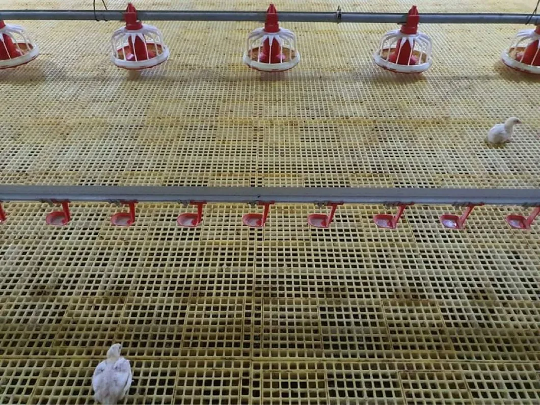 Pan Feeder for Feeding Equipment Chicken Feeding Pan Feeding Lines for Poultry Farm