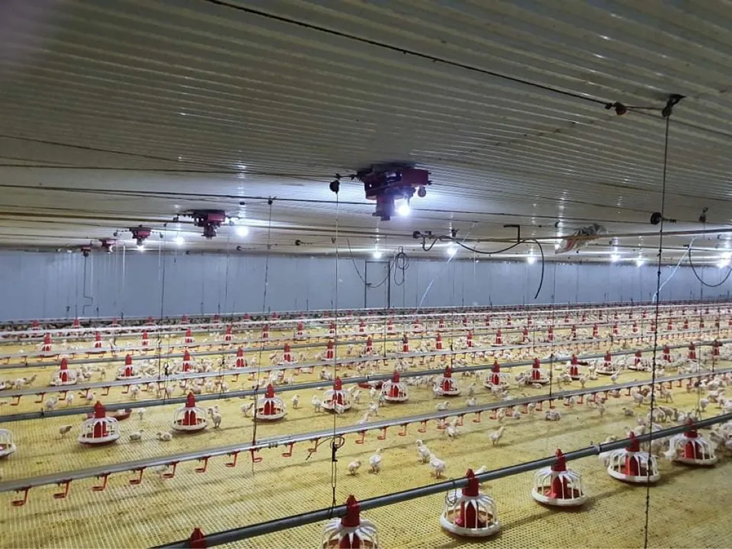 Pan Feeder for Feeding Equipment Chicken Feeding Pan Feeding Lines for Poultry Farm