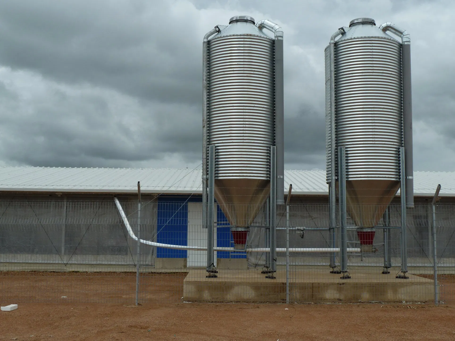 Philippine Free Rage Broiler Chicken House