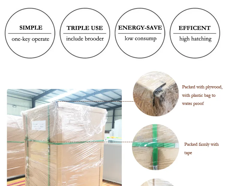 Pigeon Duck Egg Incubators for Chickens