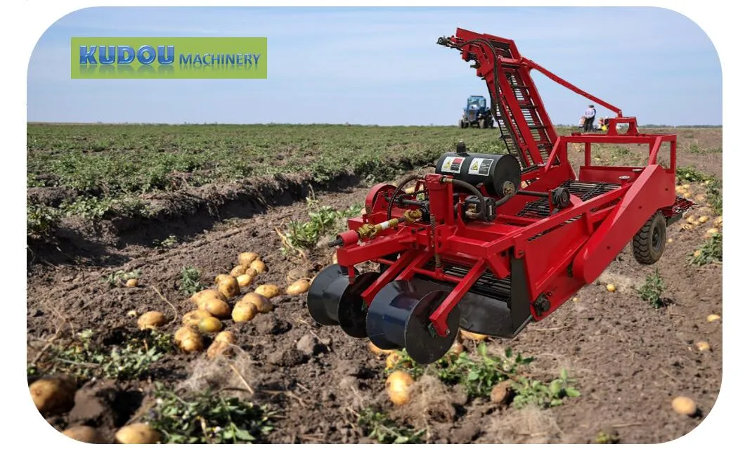 Potato Harvester/White Potato Harvesting Machine/Purple Sweet Potato Harvesing Equipment