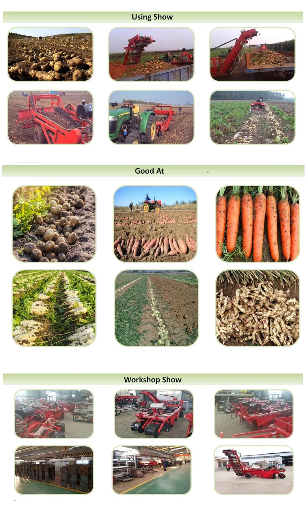 Potato Harvester/White Potato Harvesting Machine/Purple Sweet Potato Harvesing Equipment